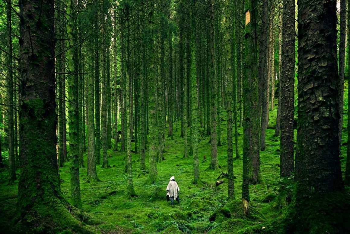 nature psychologie humaine Mindful River