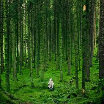 nature psychologie humaine Mindful River