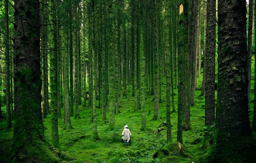 nature psychologie humaine Mindful River nature psychologie humaine Mindful River